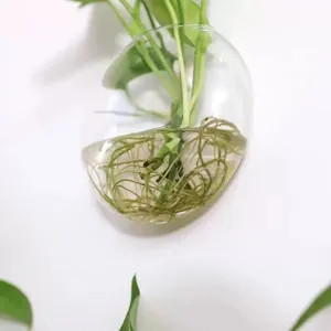 Transparente Wandglasvase für Hydrokulturpflanzen, hängender runder Pflanzbehälter.