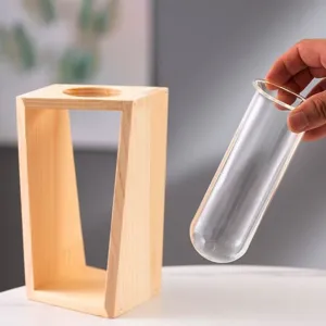 Vaso in vetro con provetta in legno nordico per piante idroponiche, decorazione per la casa.