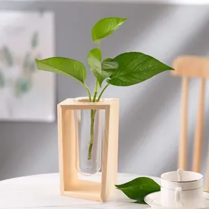 Dettaglio vaso in vetro provetta legno nordico, contenitore pianta idroponica decorazione.