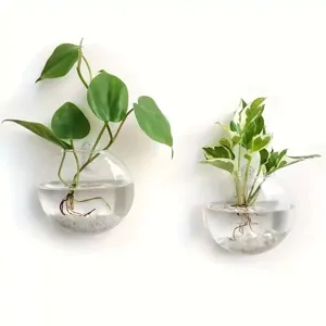 Wandhängeglas Hydrokultur Vase Set, transparente flache runde Pflanzenterrarium für Wanddeko.