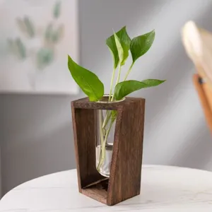 Vaso in provetta di vetro con struttura in legno stile nordico pianta idroponica