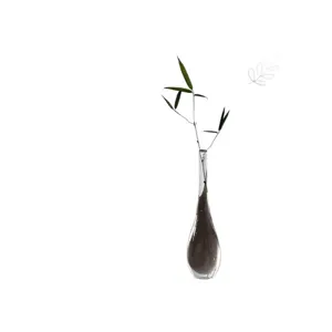 Japanese clear glass vase with bamboo branch, minimalist Zen home decor hydroculture flower arrangement.