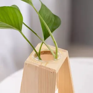 Vaso in vetro con provetta in legno nordico per piante idroponiche, decorazione per la casa creativa.