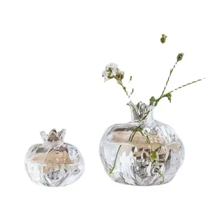 Set de vase grenade en verre transparent, contenant de plante hydroponique minimaliste.