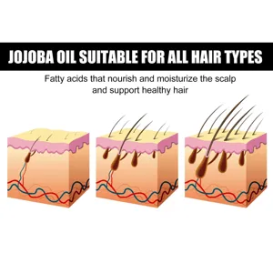 Jojoba oil detail graphic showing scalp nourishment and healthy hair follicle growth stages.