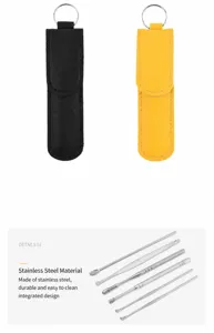 Close-up detail view of the portable ear pick set, highlighting stainless steel tools and case.