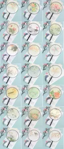 Traditional Chinese style round silk fan with wooden handle and elegant tassel decoration.