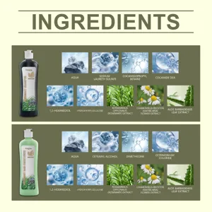 HOEGOA rosemary hair care set ingredients detail showing natural plant extracts and formula.
