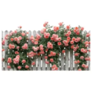 Zelfklevende muursticker met roze rozen en wit hek voor kamerdecoratie en renovatie