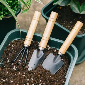 Mini Tuingereedschap Set Handtuingereedschap Met Houten Handvat En Metalen Kop