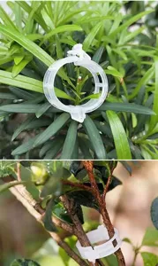 Gedetailleerd overzicht van een plastic plantensteunclip op groene stengels in de tuin.