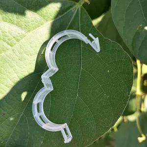Transparante kunststof plantenclip voor tomaten en tuingewassen, sterke steun detail.