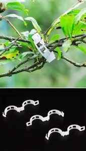 Duurzame witte plastic plantenclips voor het vastzetten van ranken en tuinfruit takken.