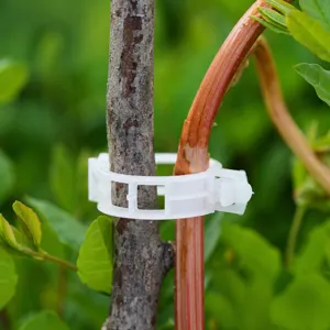Transparant Kunststof Plantensteun Clips Wijnstok Bevestiging Clips Voor Tomaten Tuin