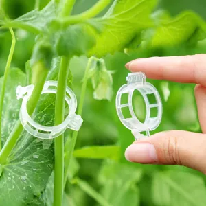 Transparante plantenclips van kunststof voor de tuin, klemmen voor tomaten en plantensteun.