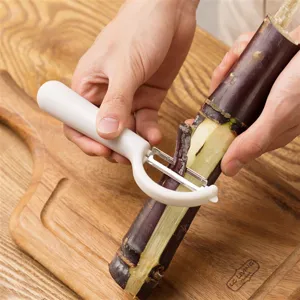 Stainless steel kitchen peeler with comfortable white handle for fruit and vegetable peeling.