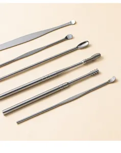 Set van 6 roestvrijstalen oorreiniger, professionele oorreinigingstool voor thuisgebruik.