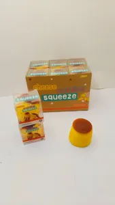 Detail view of the cute pudding squeeze toy and its packaging box for stress relief.
