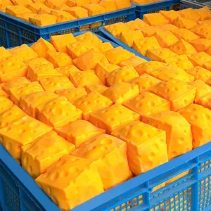 Vista dettagliata del giocattolo antistress in schiuma di formaggio giallo, rimbalzo lento.