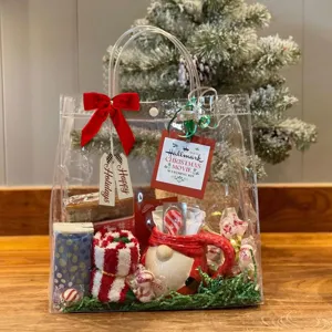 Christmas gift bag set clear tote with ceramic mug striped socks and Hallmark kit