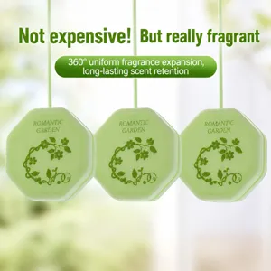 Wardrobe Aromatherapy Tablet Long Lasting Air Freshener Car Scent Hanging Fragrance Piece Peach Green Tea Home Decor
