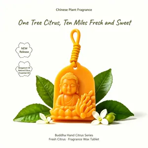 Buddha bergamot shape scented wax tablet hanging air freshener for wardrobe and room decor
