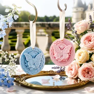 Decorative Butterfly Relief Aromatherapy Gypsum Stone Hanging Car Wardrobe Air Freshener Scented Ornament