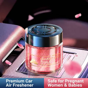 Deodorante per auto diffusore di aroma solido profumo auto lunga durata fragranza arredamento