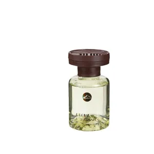 Ambientador de coche botella de vidrio perfume de larga duración difusor de aroma 120ml