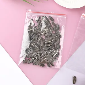 Close-up detail showing transparent PE zip-lock food packaging bag with sunflower seeds