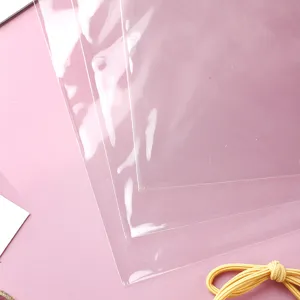 Detailansicht von transparenten selbstklebenden OPP-Plastikbeuteln für Bekleidungsprodukte
