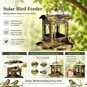Infografía de un comedero solar vintage para pájaros con energía solar y diseño multibandeja.