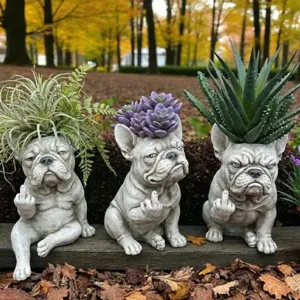Set di tre vasi per succulente a forma di Bulldog Francese scontroso con gesto del dito medio