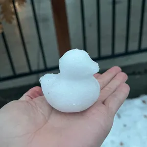 Nahaufnahme einer perfekten Schneeente, erstellt mit einem Entenform-Schnee-Spielzeug