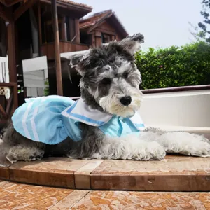Pet sailor dress detail showing light blue fabric and neat white collar trim for dogs.