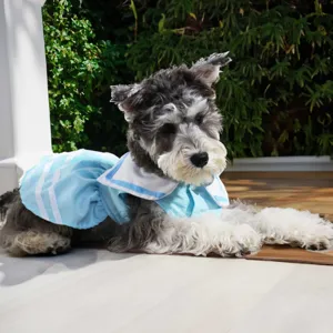 Pet sailor collar dress detail, light blue dog cat summer clothes breathable and comfortable.