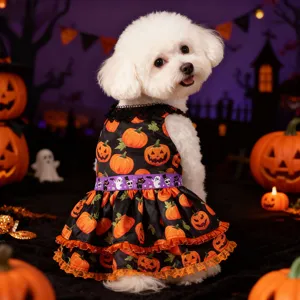 Halloween pet clothing detail showing cute pumpkin print and lace ruffles on small dog.