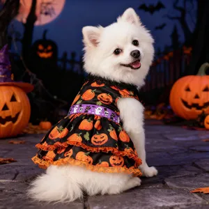 Halloween pumpkin dog dress, cute lace pet costume for small dogs, spooky festive puppy apparel.