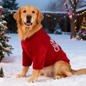 Christmas pet clothing detail featuring a cute golden retriever in a red sweater outdoors.