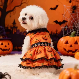 Cute Halloween pumpkin lace dress for small dogs, perfect festive pet costume outfit.