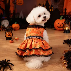 Halloween pet dog pumpkin dress detail, orange lace puppy costume for small medium dogs party.