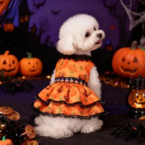 Halloween pumpkin dog dress with lace trim, cute pet costume for small and medium dogs detail.