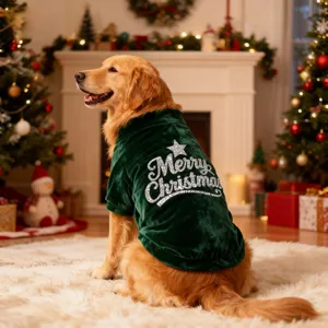 Detailed shot of a green velvet dog Christmas costume featuring glittering text in a festive setting.