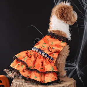 Halloween dog dress detail, cute orange pumpkin print with black lace ruffle, pet apparel scene.
