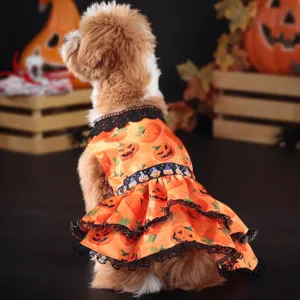 Cute Halloween pumpkin lace dog dress for small and medium sized dogs pet apparel details.
