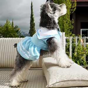 Close-up detail of a cute pet dog wearing a stylish blue and white sailor dress outdoor.