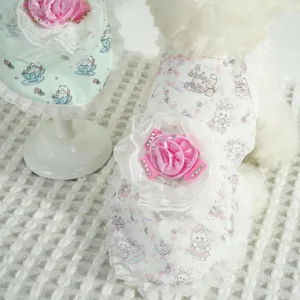 Primo piano del grazioso vestito per animali con pizzo delicato e rosa rosa.