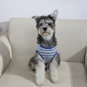 Detailed view of the pet dog wearing blue striped vest, breathable and comfortable design.