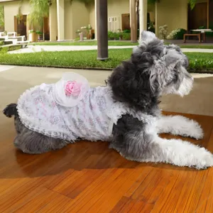 Vestito estivo in pizzo per animali domestici gilet carino per cani gatti traspirante