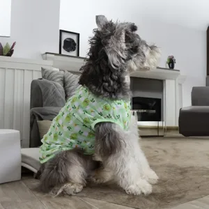 Vue latérale détaillée d'un adorable schnauzer portant un gilet de fruit à carreaux.